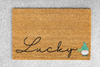 'Lucky' Holiday Doormat